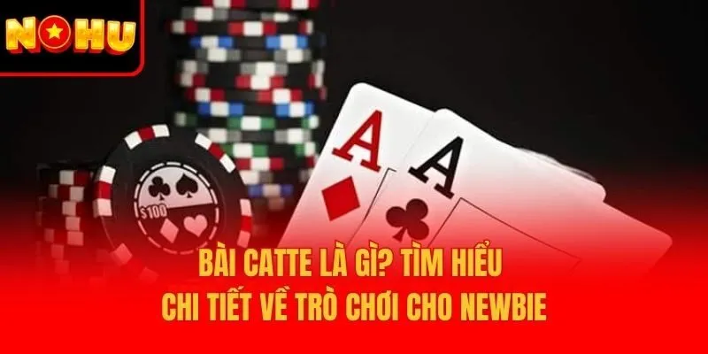 Bài Catte Là Gì? Tìm Hiểu Chi Tiết Về Trò Chơi Cho Newbie