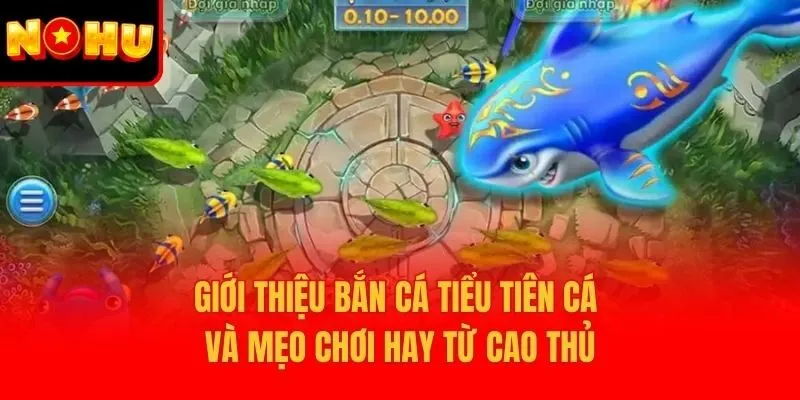 Giới Thiệu Bắn Cá Tiểu Tiên Cá Và Mẹo Chơi Hay Từ Cao Thủ