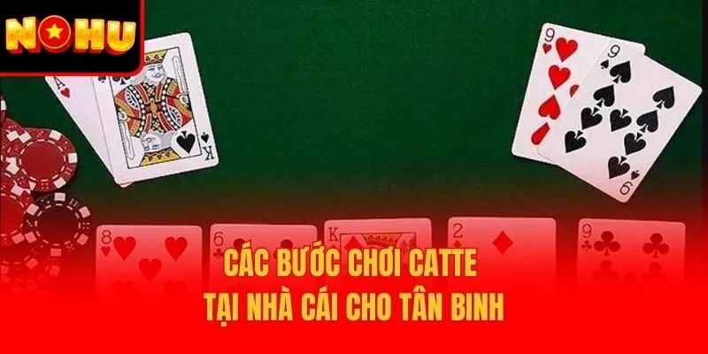 Các bước chơi Catte tại nhà cái cho tân binh