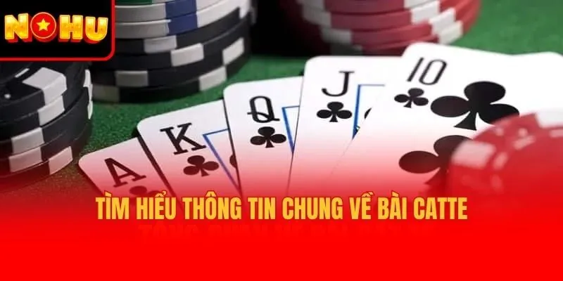 Tìm hiểu thông tin chung về bài catte